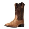 Ariat Men`s Quantum Primo Ranger FQ Ostrich 11` Beam Brown Top Square Toe Boots -Western Cowboy Equipment Store 146659 default l