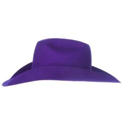 Rodeo King 7X Purple Self Band 4 1/4in. Brim Open Crown Felt Cowboy Hat -Western Cowboy Equipment Store RK457 5