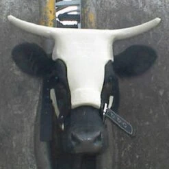 Western Cowboy Equipment Store 7 Western Cowboy Equipment Store -Western Cowboy Equipment Store ropinghorn1